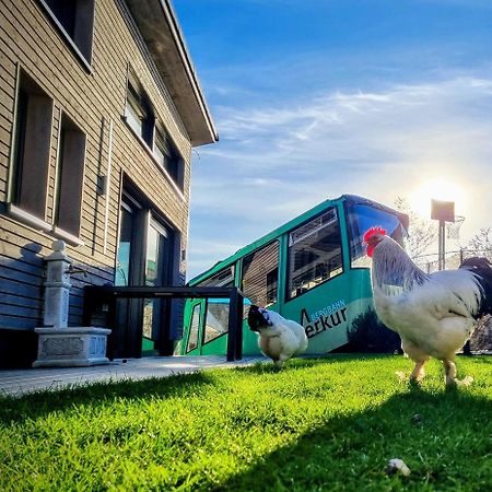 Vila Exklusives Holzhaus Mit Bergbahn - Baden-Baden Im Schwarzwald Exteriér fotografie