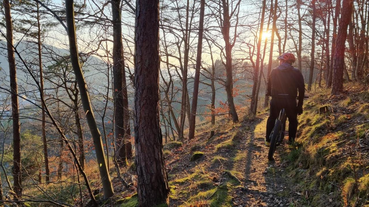 Vila Exklusives Holzhaus Mit Bergbahn - Baden-Baden Im Schwarzwald Exteriér fotografie